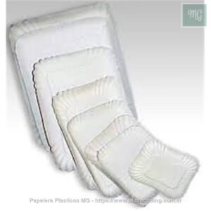 Bandeja De Carton Liv.Bcas.N° 6 X 100 Un.