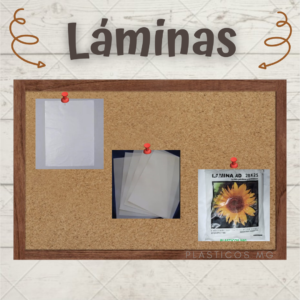 lamina