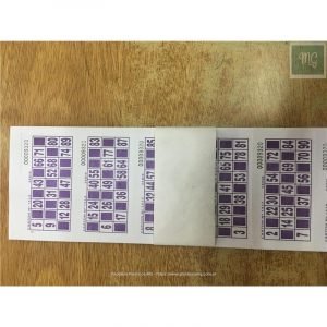 Cartones Bingo x 2016